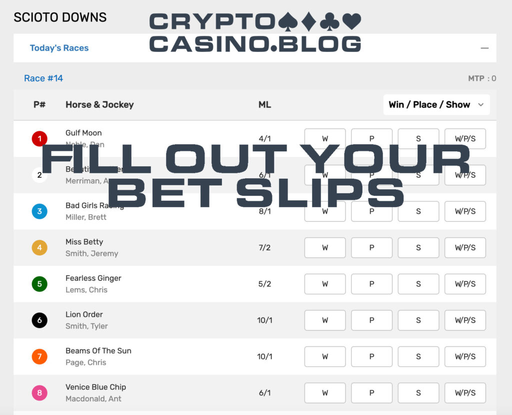 Bet On Harness Races At Scioto Downs Using Crypto