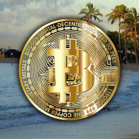 10 Best Bitcoin Casinos That Accept Players In Hawaii